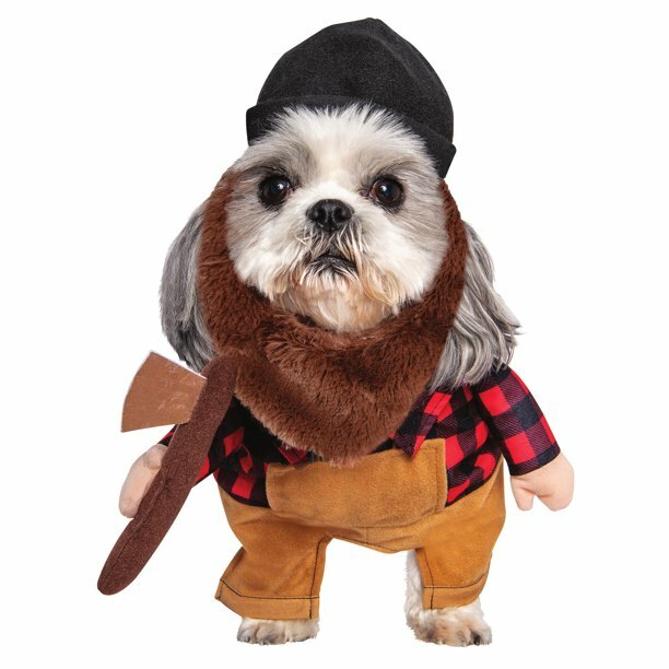 little dog in lumberjack with axe halloween costume