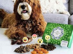 Dog with box and piles of food, each labelled with different emoji.
