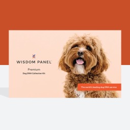 Wisdom panel premium dna kit