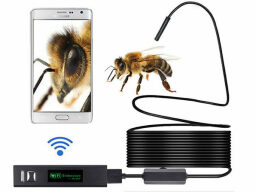 Camera cable magnifying bee on a phone screen