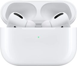 airpods pro in their case