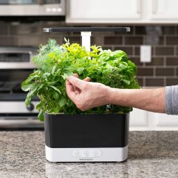 AeroGarden Harvest 