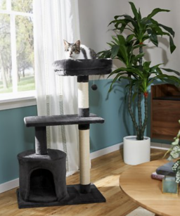 Frisco 38-inch Cat Tree with Condo, Top Perch and Toy (sale $32.20, normally $39.99)