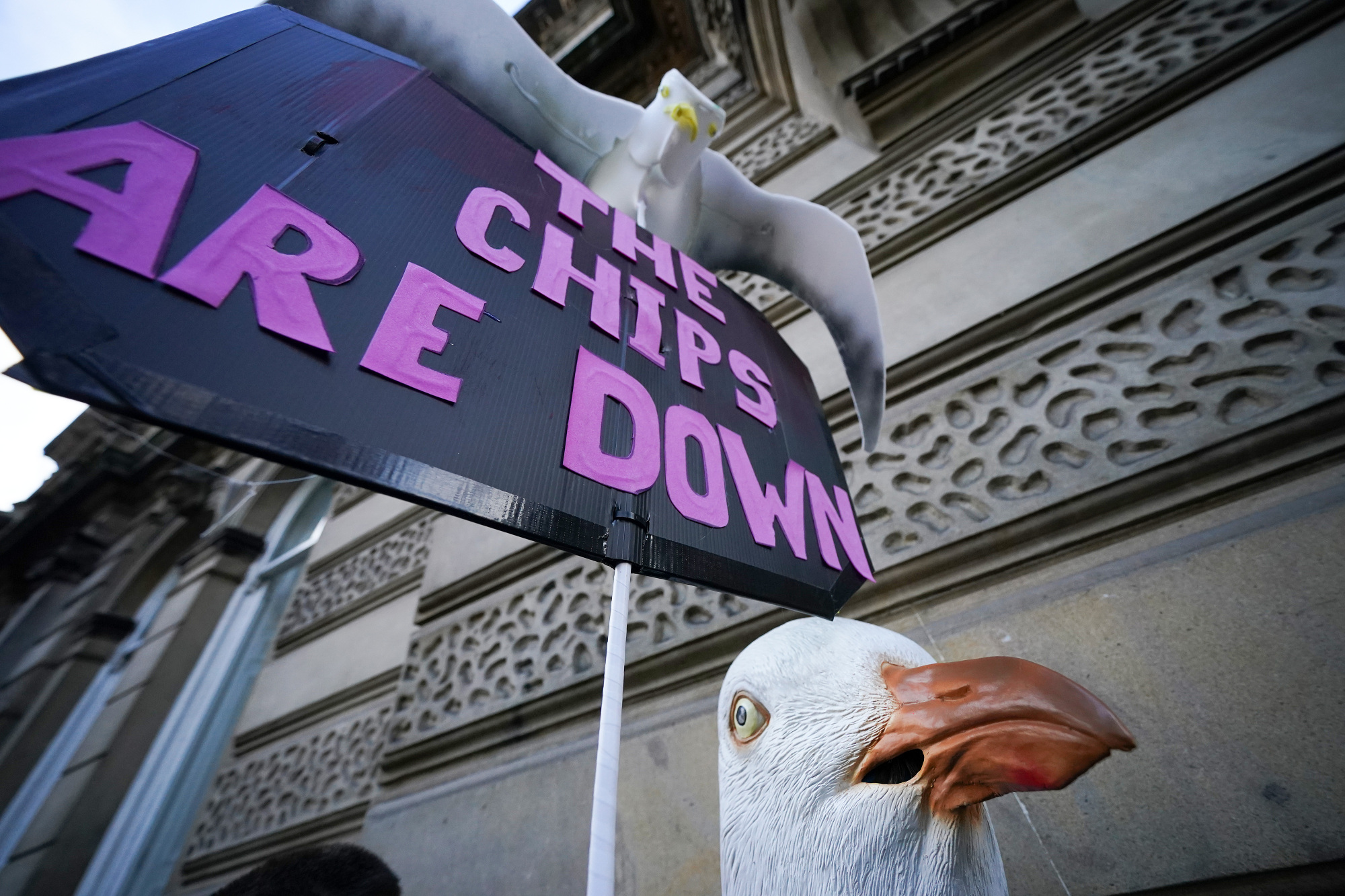 Hungry seagulls eye fellow protesters as the "chips" fall on climate policy.