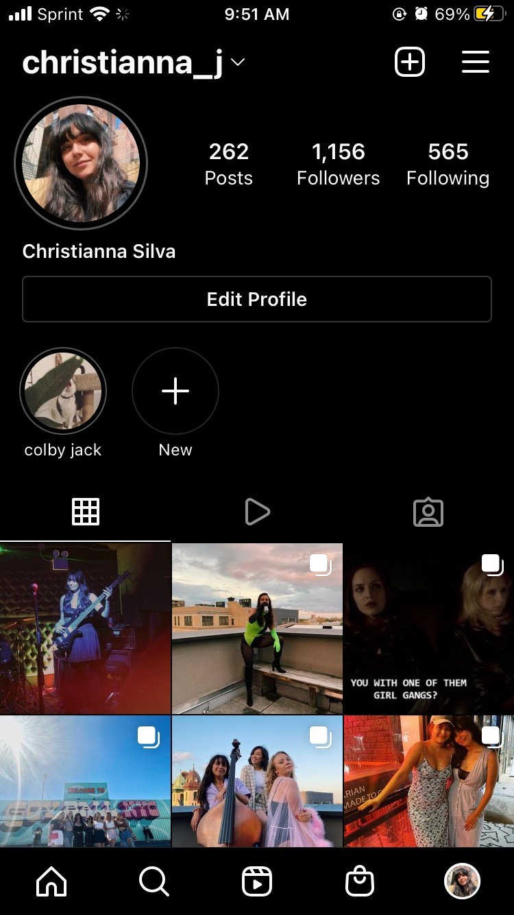A screenshot of my Instagram profile.