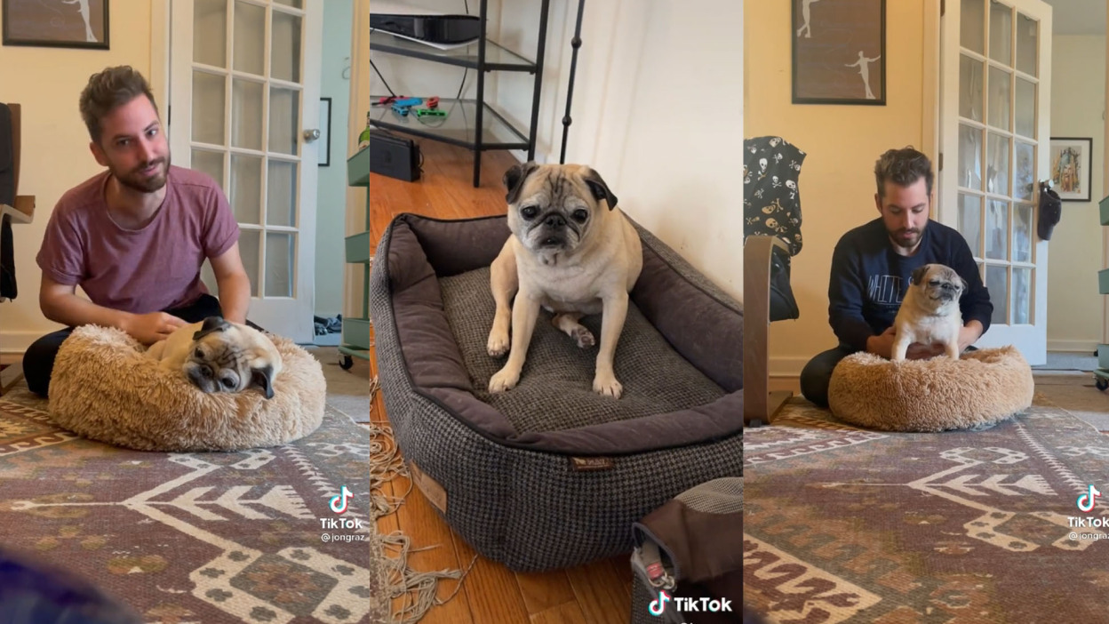 Screenshots of TikTokker Jongraz, who sits with his dog, Noodles.