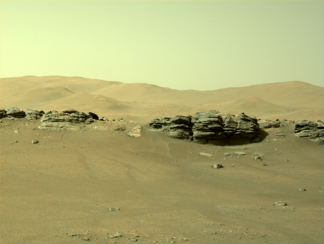 A look at the sandy, windswept surface of Mars, peppered with rocks, as captured by NASA's Perseverance rover.