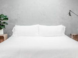 White bed with plant and lamp on each side on wooden bedside table