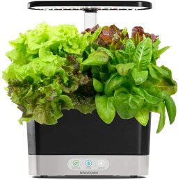 black aerogarden harvest filled with lettuce