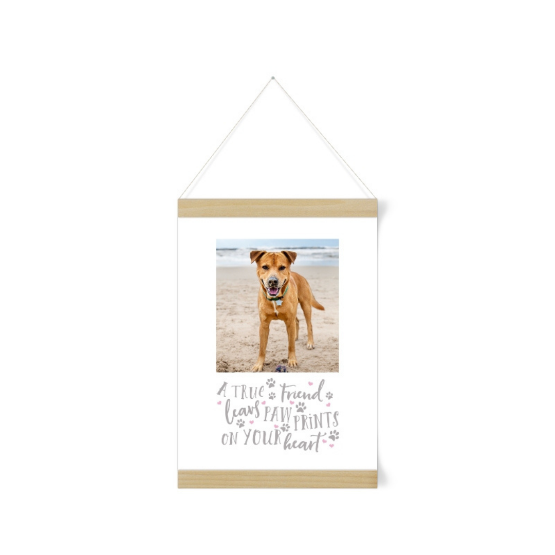 hanging canvas of a dog on a beach with inspirational words underneath the photo