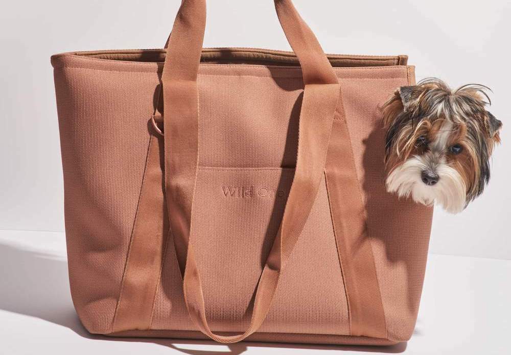You're sure to turn heads with a cute bag and an even cuter dog in it.