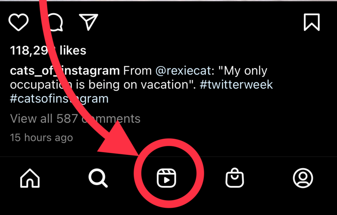 The "Reel" button. Also, we hope you like this post of a cat in a little sweater enjoying a refreshing beverage.