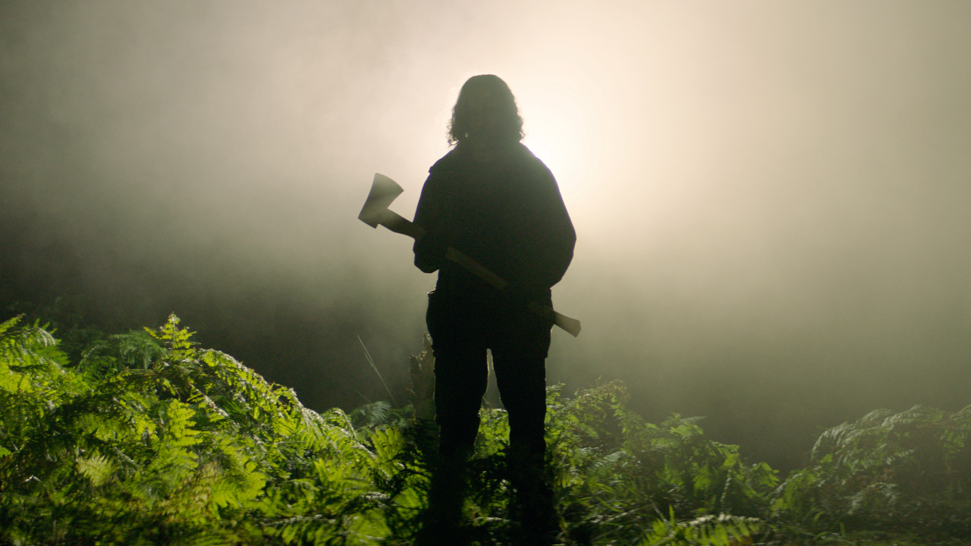 A man with an axe in silohuette