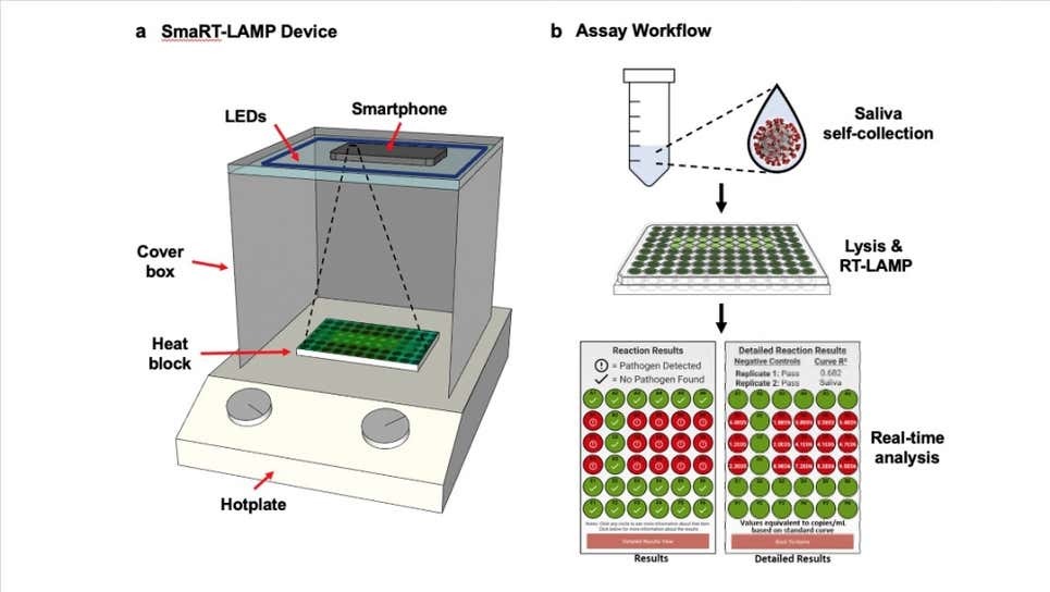 A figure drawing of proposed Covid testing method, showing a box like device and red and green viral load charts.