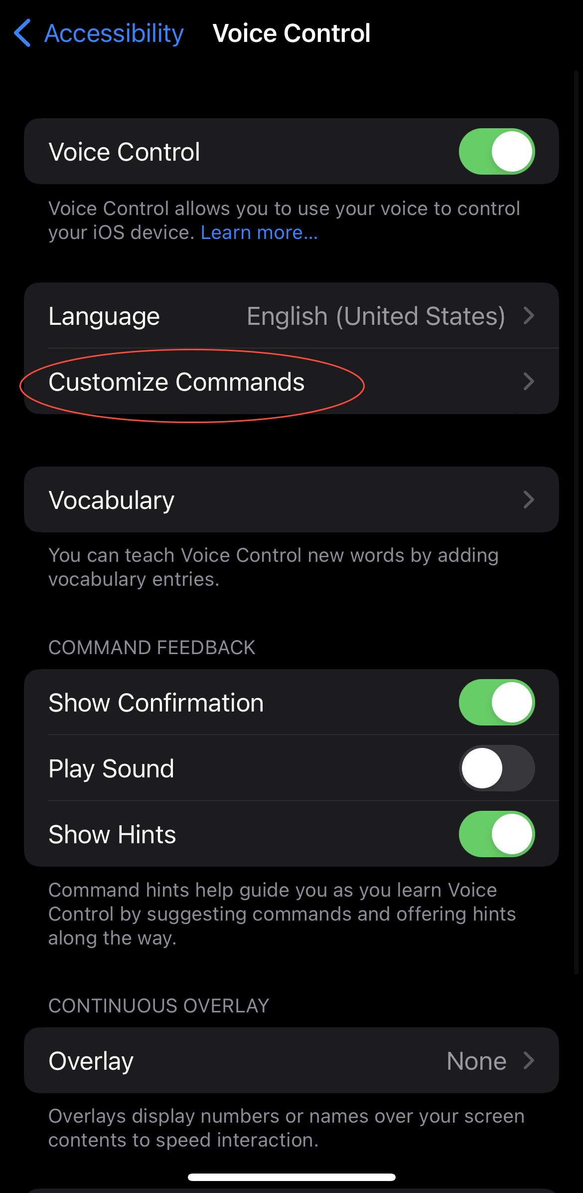 Screenshot of Voice Control iPhone page with red circle around Custom Commands