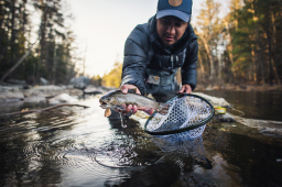 Man catching a fish in a stream. 
