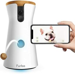 Furbo tossing a treat, smart phone showing image of dog