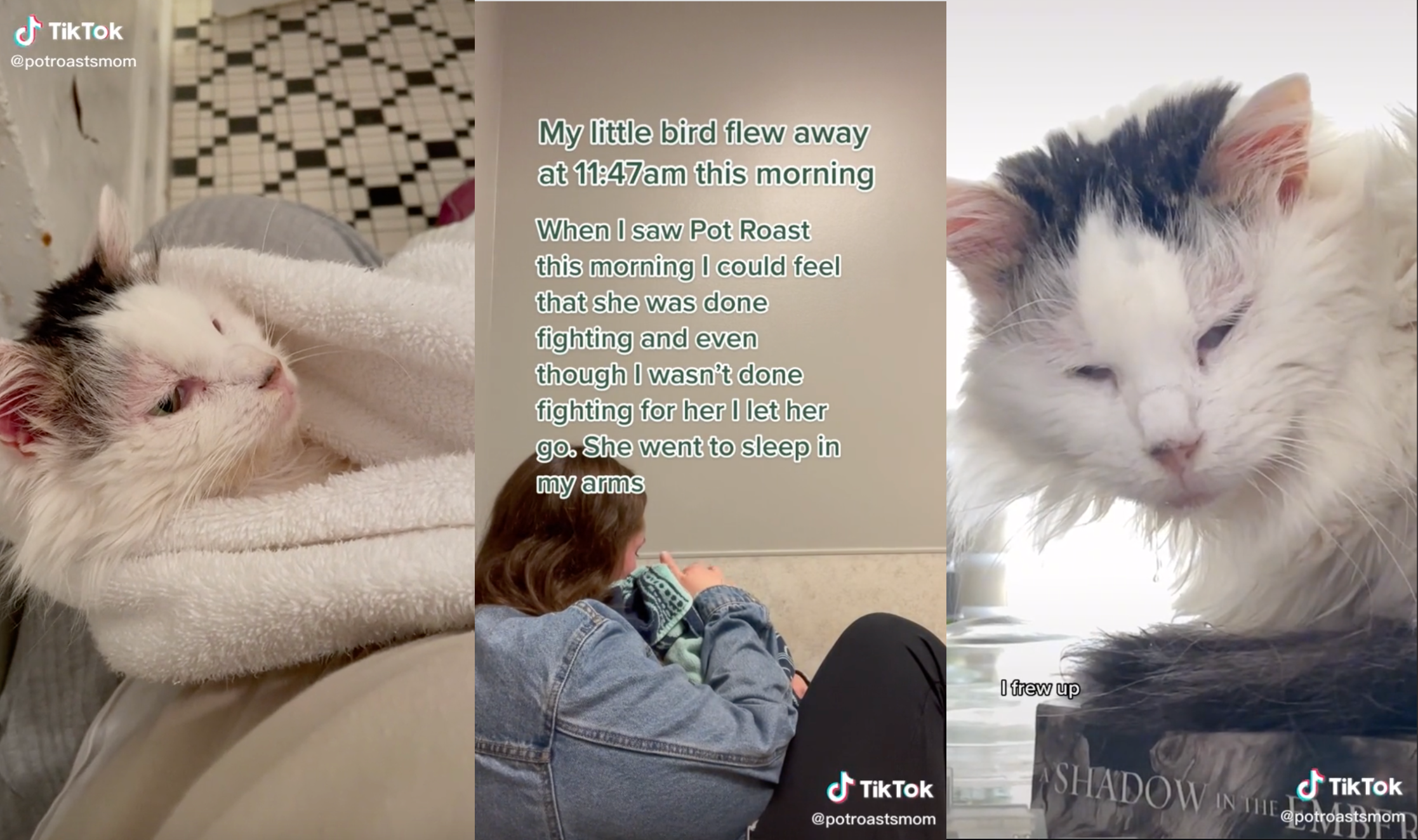 Screenshots from @PotRoastsMom TikTok