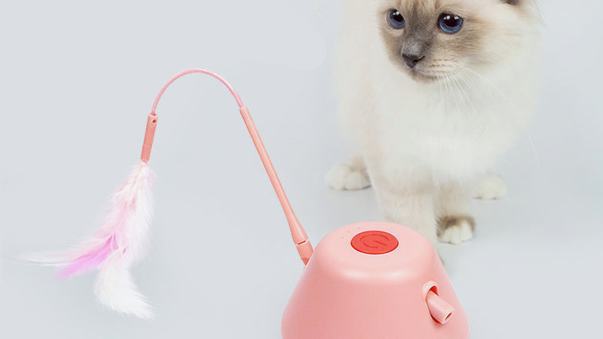 Pink robot cat toy with feather next to cat with blue eyes