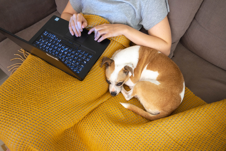 Woman sitting on couch under a blanket, working on her laptop with her dog curled up next to her