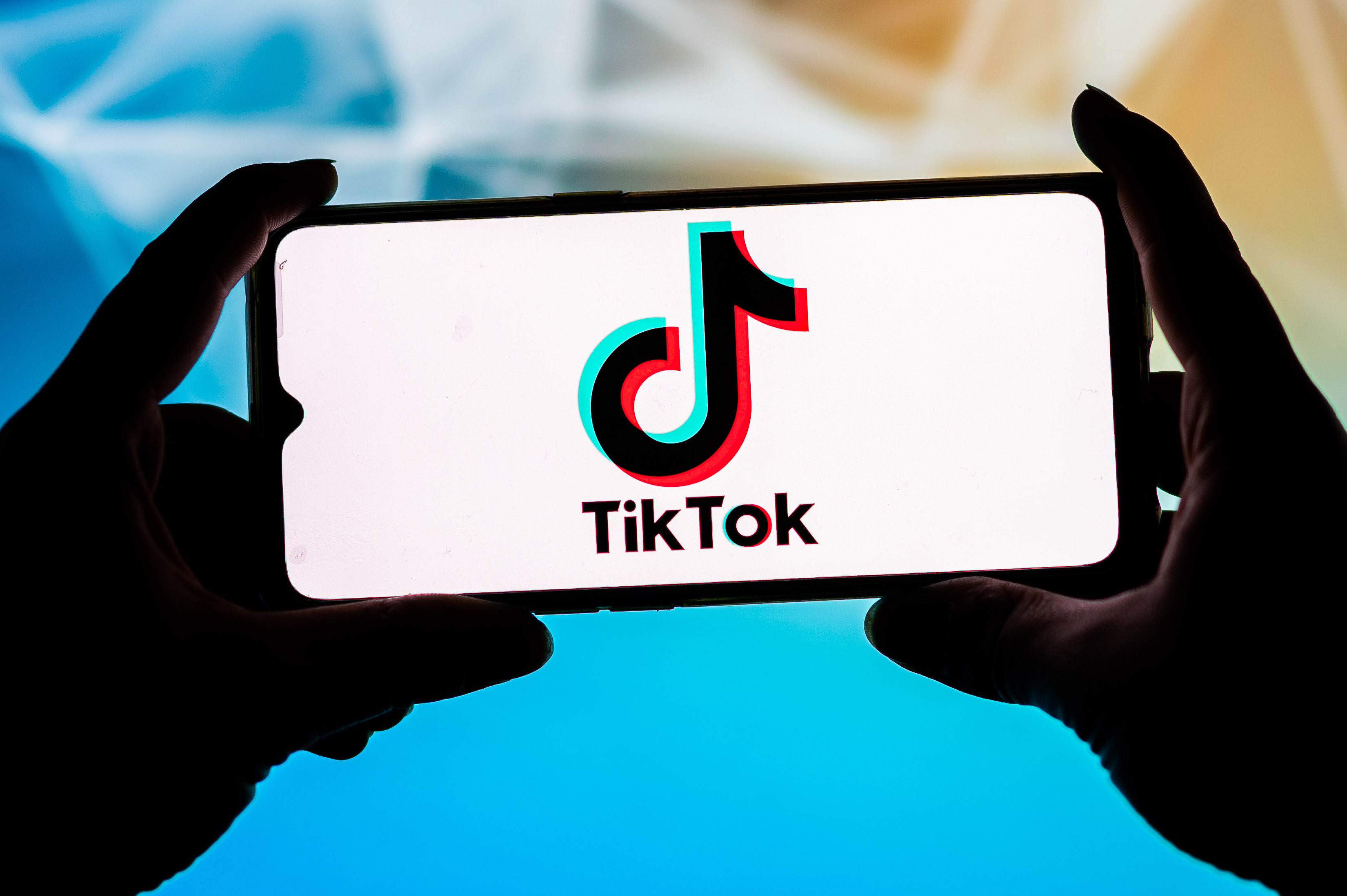 A TikTok logo is seen displayed on a smartphone.
