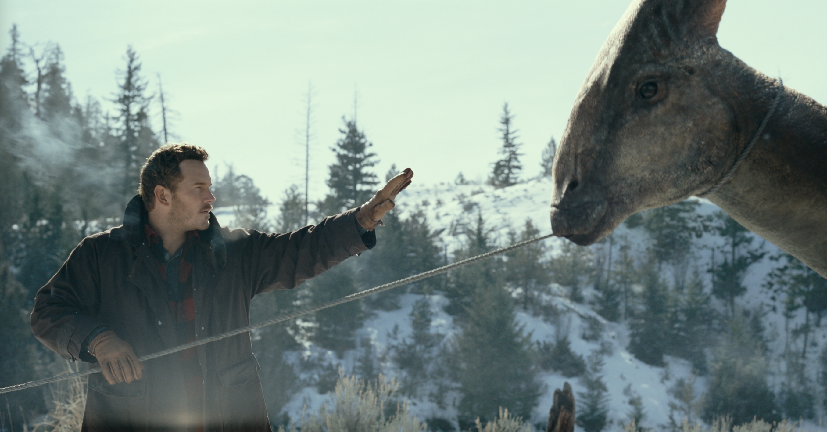 A man extends his hand to a dinosaur