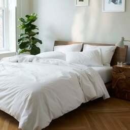 bedroom with a white bedding and a plant