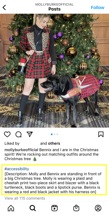 Activist Molly Burke's Instagram post with a block of alt text below the caption. In the post, Molly stands with her guide dog in front of a Christmas tree.