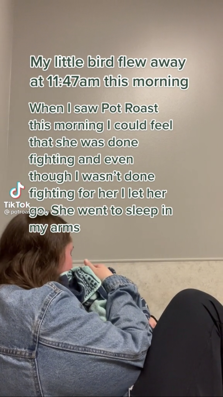 The post announcing Pot Roast's death.