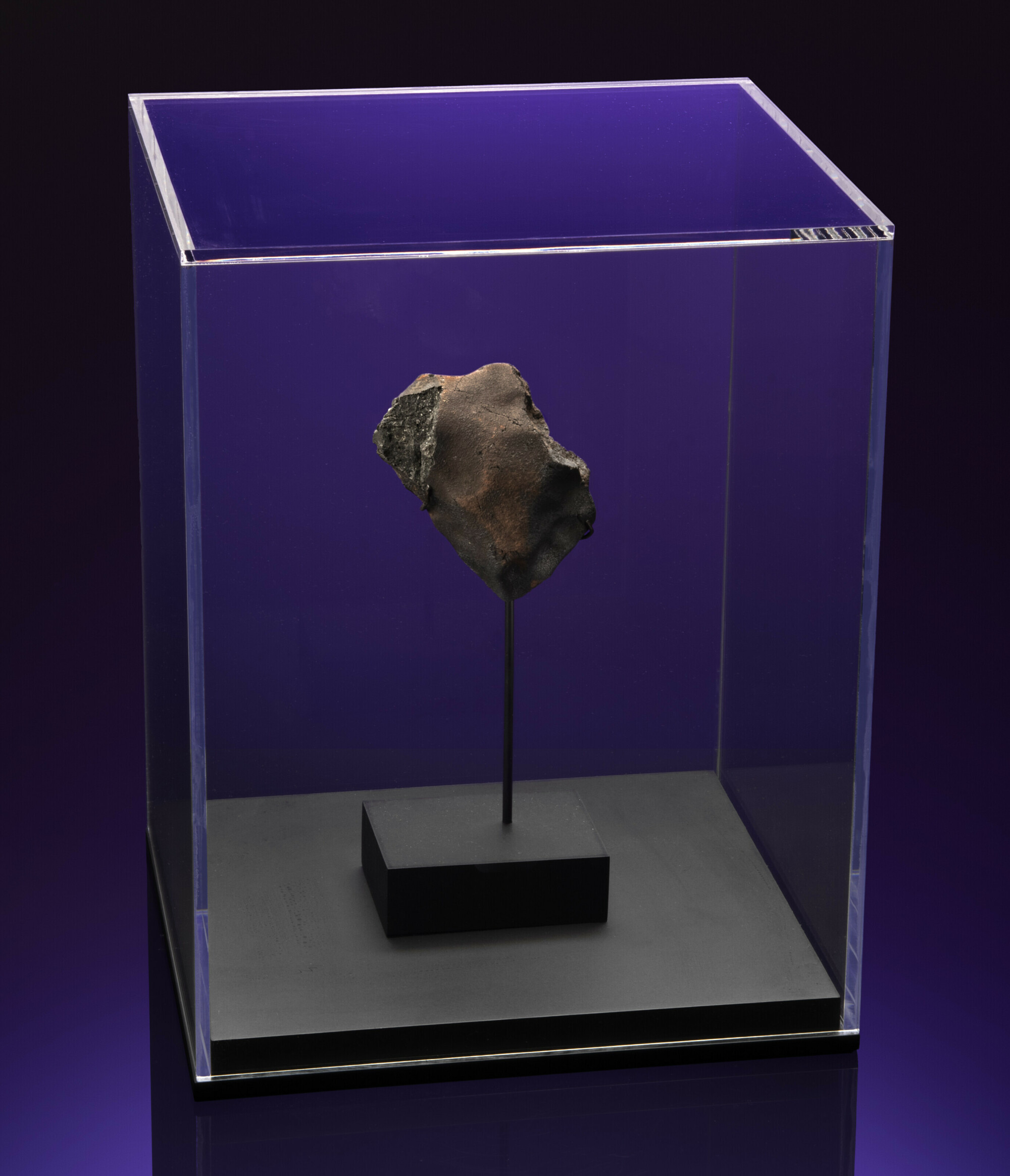 meteorite that struck a dog house selling at auction