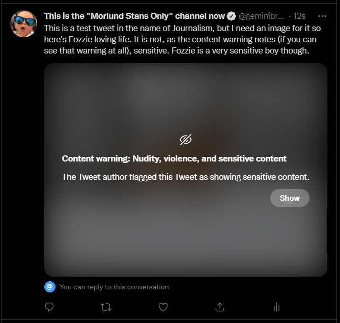 A screenshot of a published tweet. It contains the text: "This is a test tweet in the name of Journalism, but I need an image for it so here's Fozzie loving life. It is not, as the content warning notes (if you can see that warning at all), sensitive. Fozzie is a very sensitive boy though." Below the text is an image blocked by a Twitter content warning.
