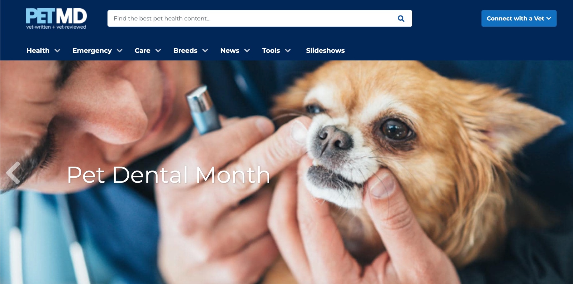Screenshot of person inspecting a dog's teeth