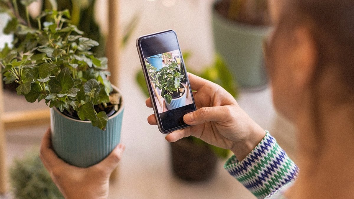 Hand holding phone taking picture of plant