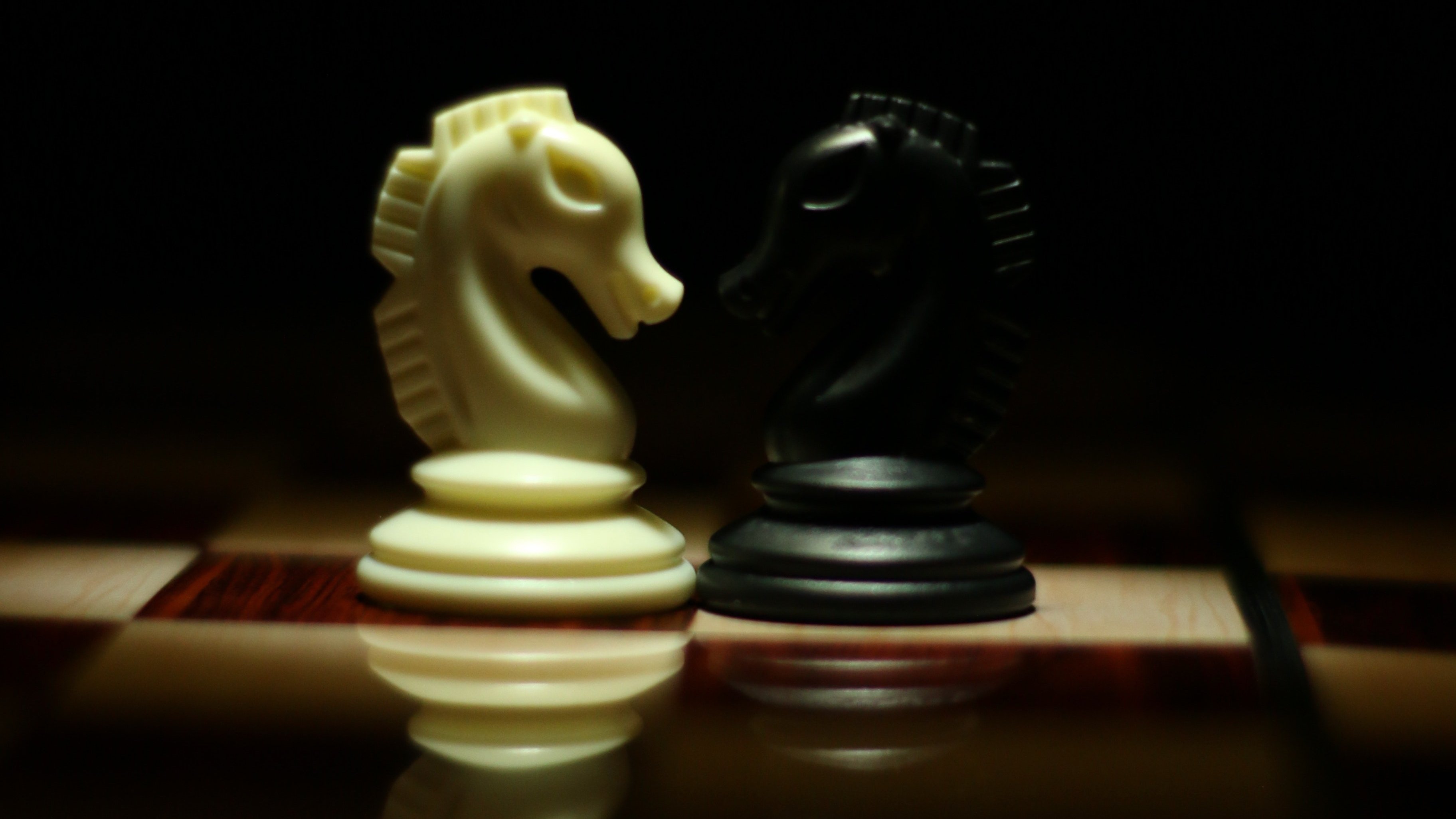 White knight chess piece facing black knight chess piece on darkened chessboard