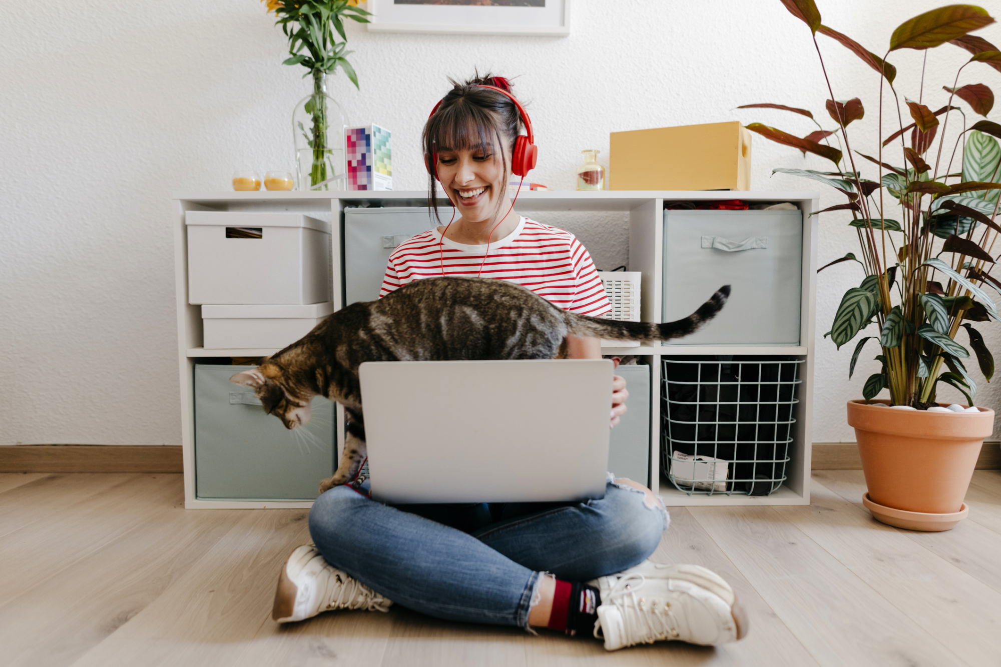 A cat walking across a womans computer on her lap