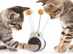 Two cats playing with black ball with yellow ball on antenna