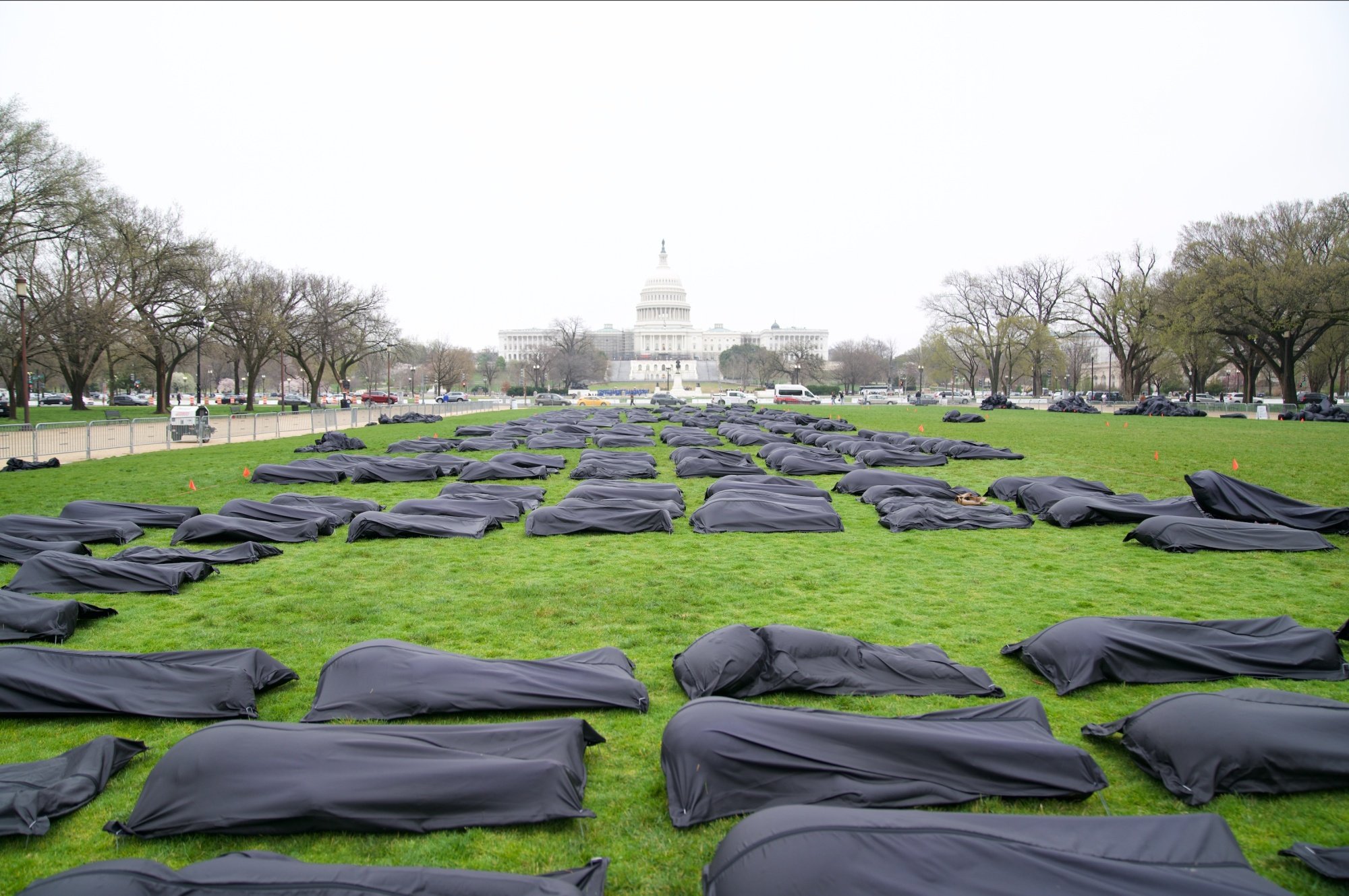 A few of the body bags on the grass.