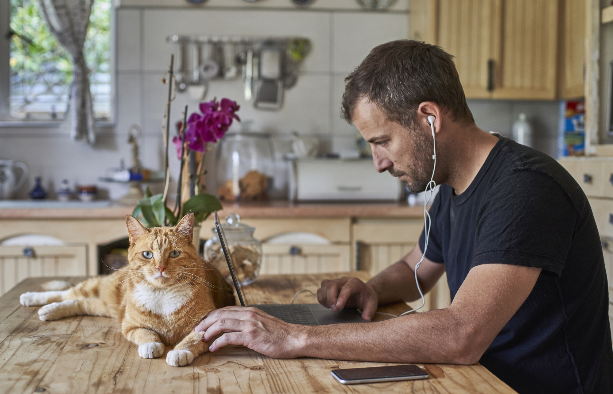 A man looking at a laptop with his cat laying behind it