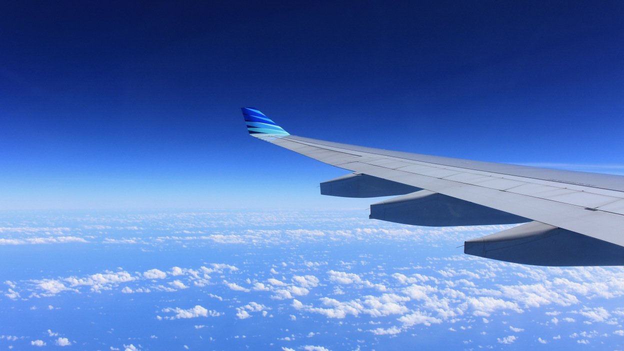 Plane wing