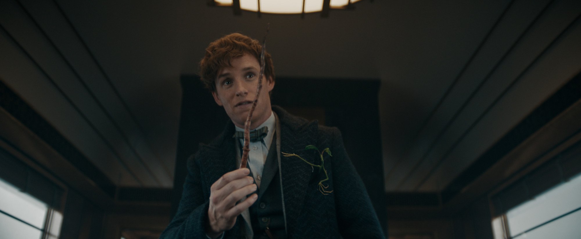 Film still of a man holding a wand and a small leafy creature popping out of his suit pocket.
