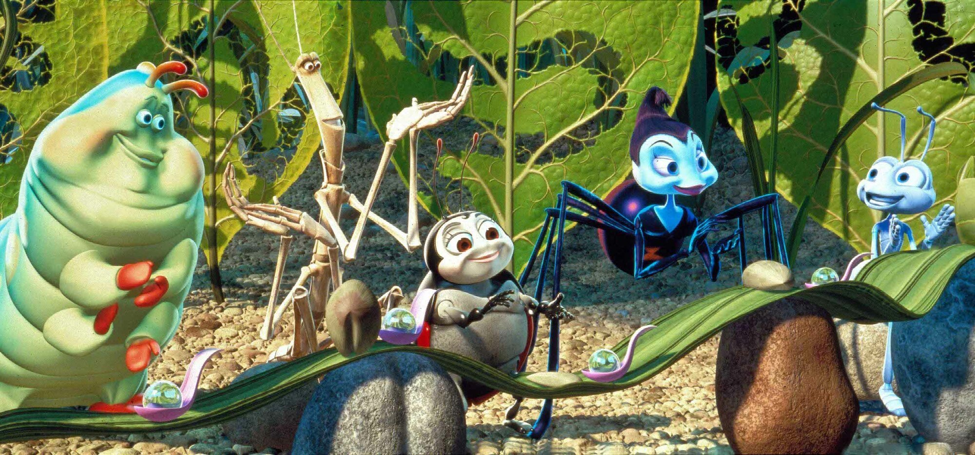 Animated still of a caterpillar, walking stick, ladybug, spider, and ant, all with anthropomorphized faces. They smile, look at each other, and clap in a leafy clearing.