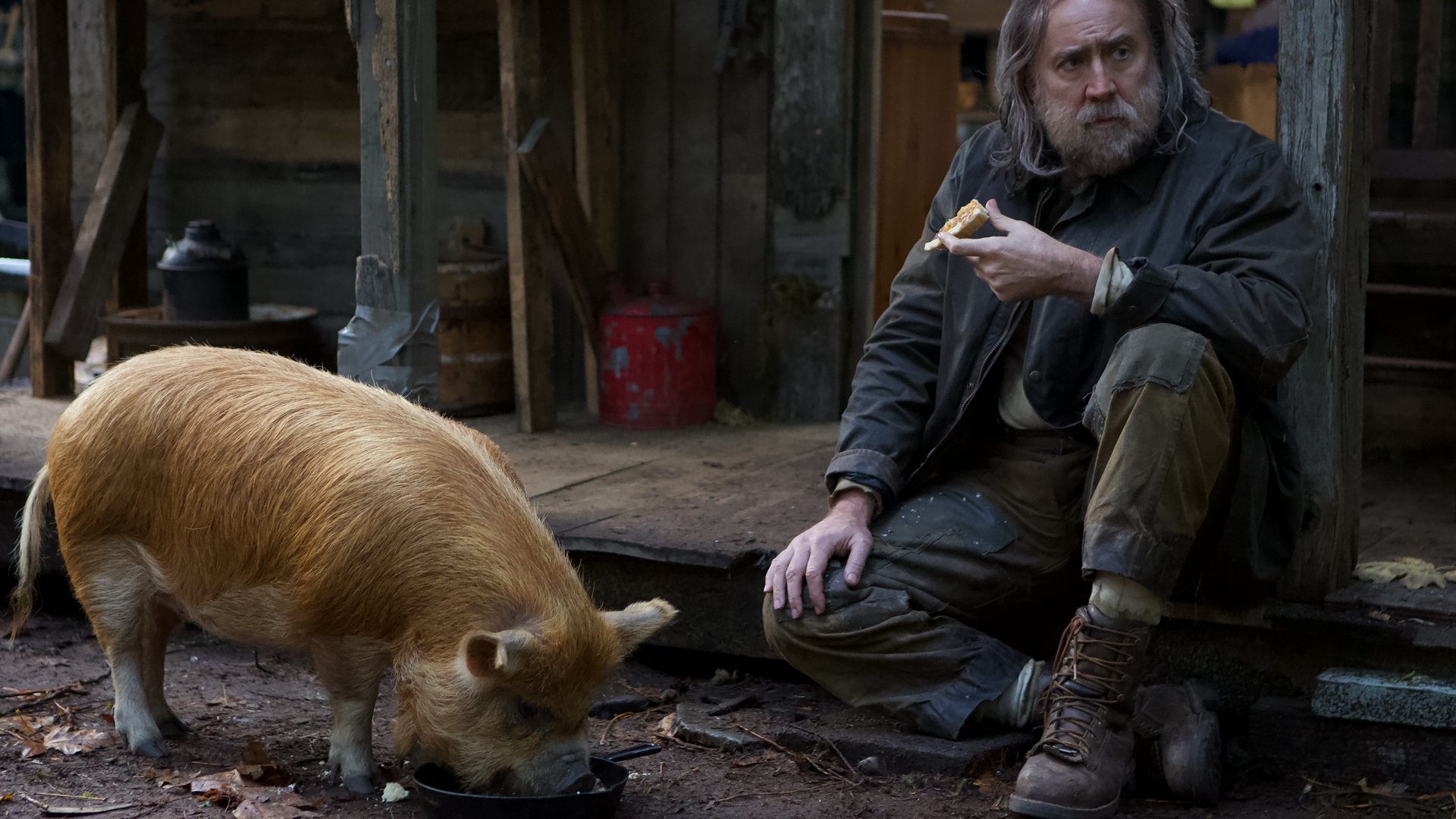 Nicholas Cage and a pig