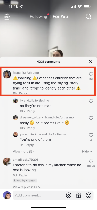 TikTok comment section with a red box outlining a specific comment, which reads "Warning ! Fatherless children that are trying to fit in are using the saying "story time" and "crop" to identify each other."