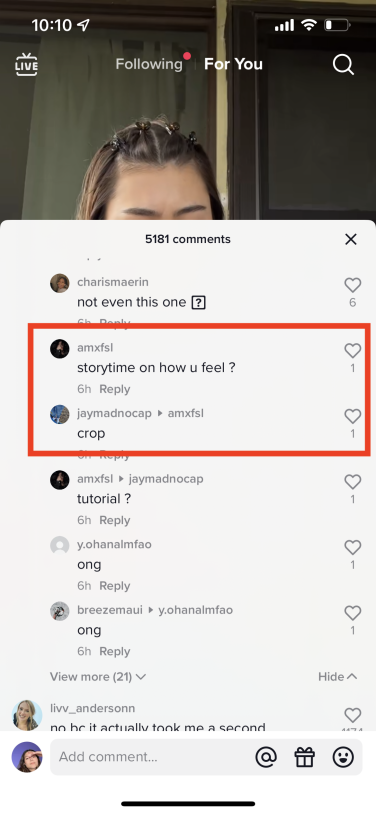 TikTok comment section with a red box outlining two specific comments, which read "crop" and "story time on how u feel?".