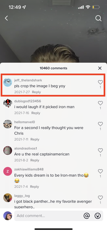 TikTok comment section with a red box outlining two specific comments, which reads "please crop the image I beg yoy."