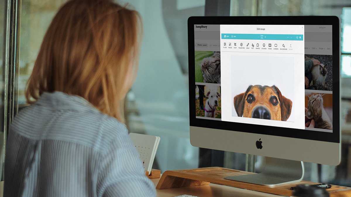 Person looking at computer with the picture of a dog