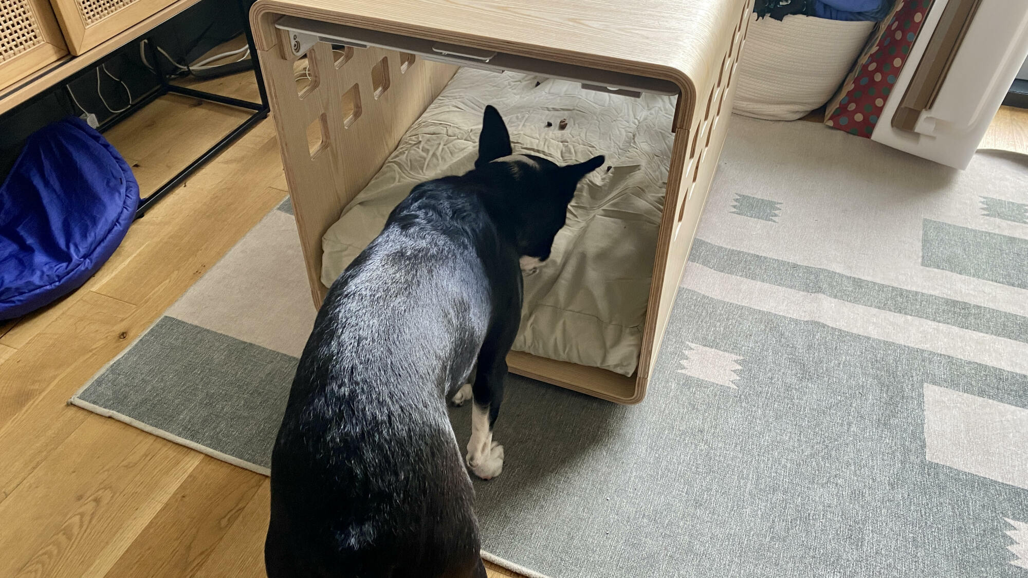 Image of dog eating treats out of a crate