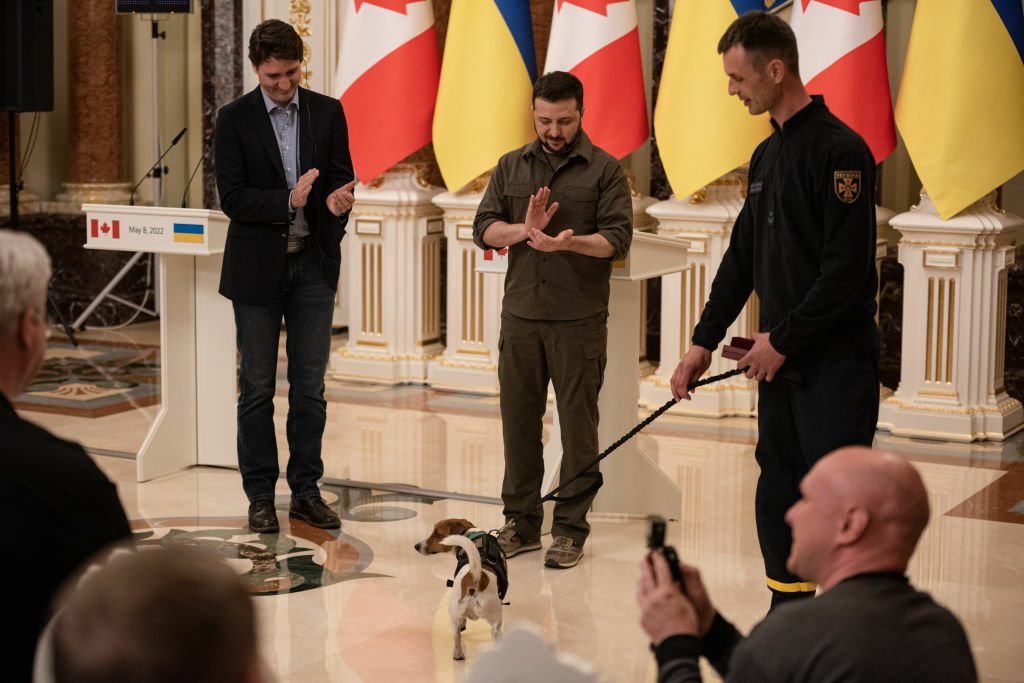 Image of hero dog Patron receiving a medal from Ukrainian President Volodymyr Zelenskyy