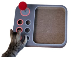Cat playing with grey box with open space and multicolored holes and joystick on one side