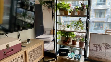 Mirror next to a shelf full of plants